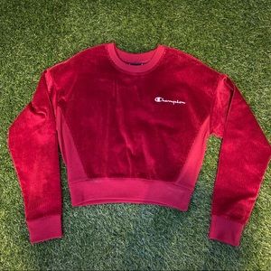 champion corduroy cropped long sleeve